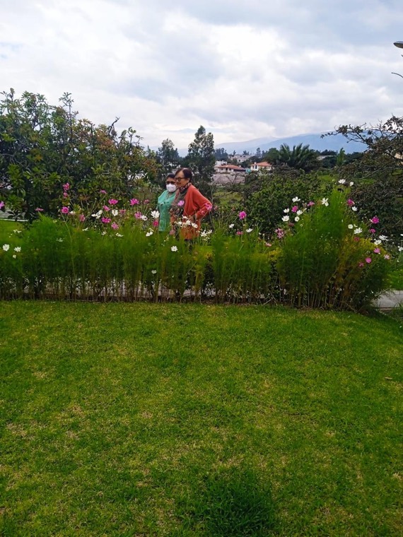 Jardín con flores